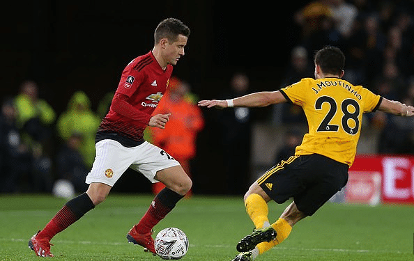 鹦鹉命名 鹦鹉命名